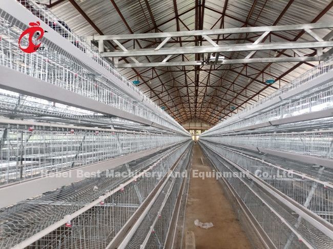 5 Tier 200 Birds Galvanized Poultry Layer Cage System For Chicken Farm Sandy