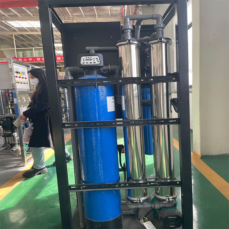 500L/Hour RO Reverse Osmosis Water Treatment Equipment with Stainless Steel/FRP Tank