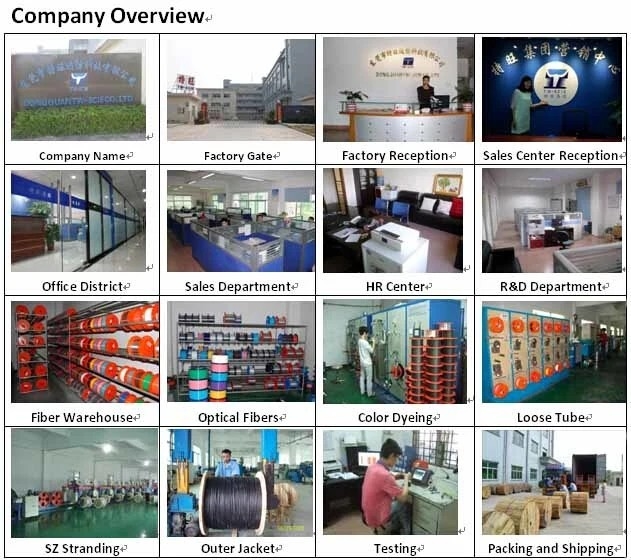 GYTA Loose Tube Steel Tape Armoured Cable 12 Core Optical Fiber Optic Network Cable PE Outer Sheath 3