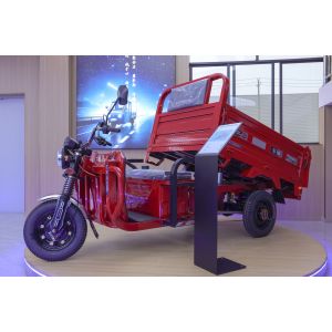 Tricycle Cargo Bike Adults Motorized Various Cargo Tricycle