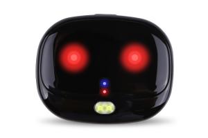 China Dog Pet GPS Tracker Locator Long Standby With Usb Rechargeable wholesale