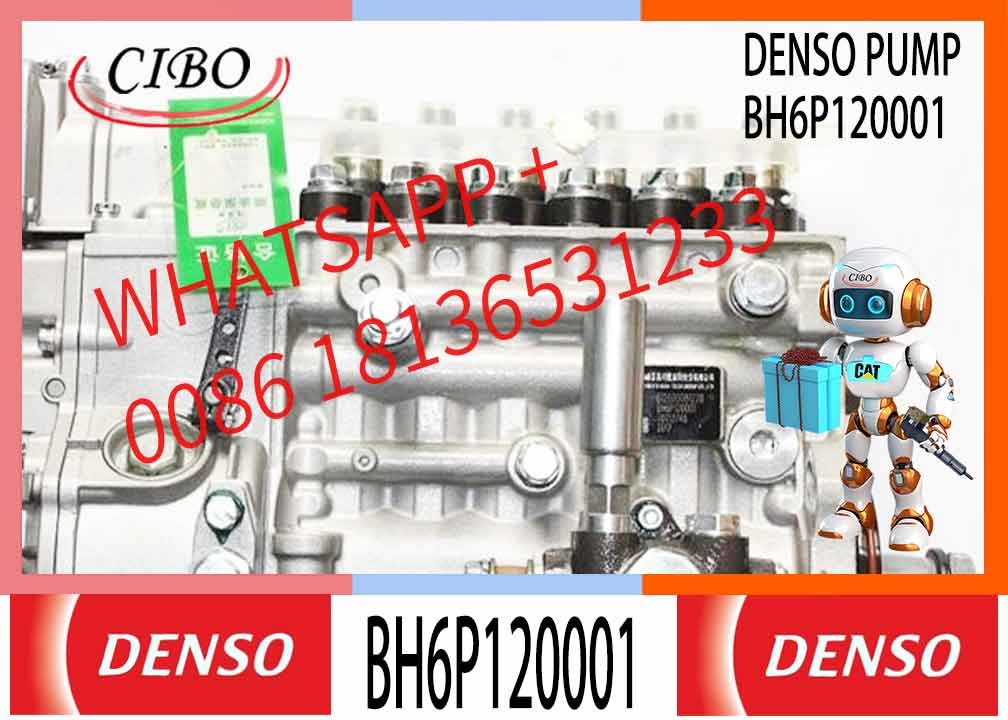 New Diesel Fuel Injector pump 612600081228 612600081228 BHT6P120R TRQV-K300-1100P for WEICHAI618.42Q 6P1191 BH6P120015