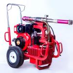Diesel Engine Electric Paint Sprayer Airless Sprayer Piston Pump 250 Bar 13.5