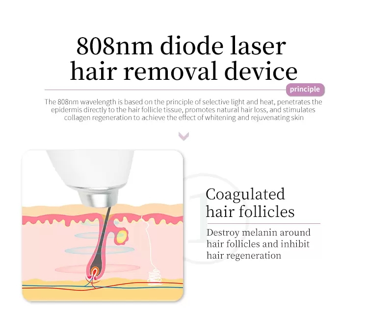 Portable Painless 808nm Diode Laser Hair Machine And Skin Rejuvenation Device