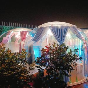 China Large Luxury Geodesic Clear Transparent Outdoor Domes Igloo Tents wholesale