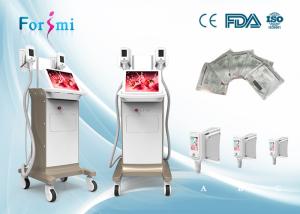 China 15 inch big screen cryolipolysis slimming machine in best price wholesale