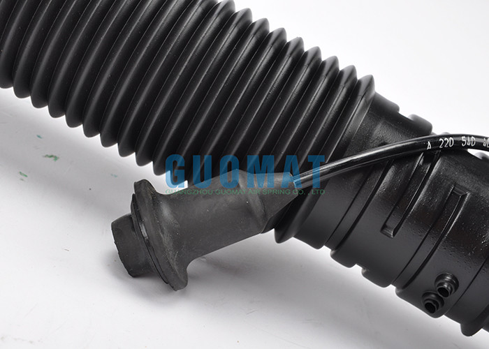 Rear 1998 - 2006 S Class Mercedes Air Suspension Struts 2203202338 One Year Warranty