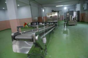 China Twin - Screw Artificial Rice Making Machine Fortified Rice Kernel Production wholesale