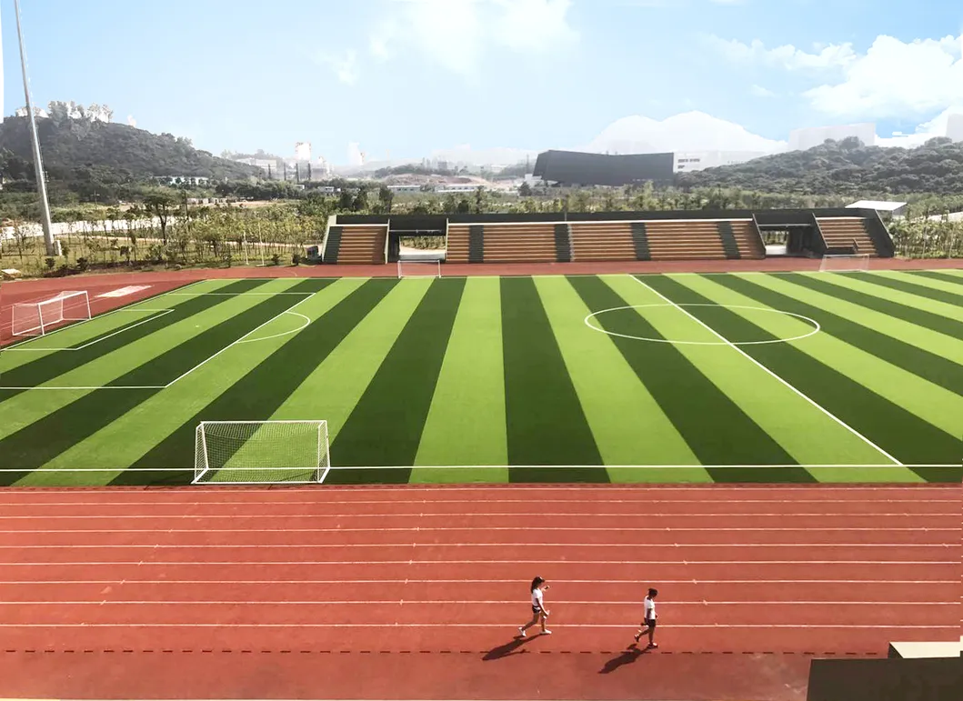 Free Sample Shoe Material Recycled SBR Rubber Granules for Artificial Turf Infills Football Lawn