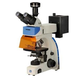 China Digital Trinocular Fluorescence Microscope LF-302 wholesale