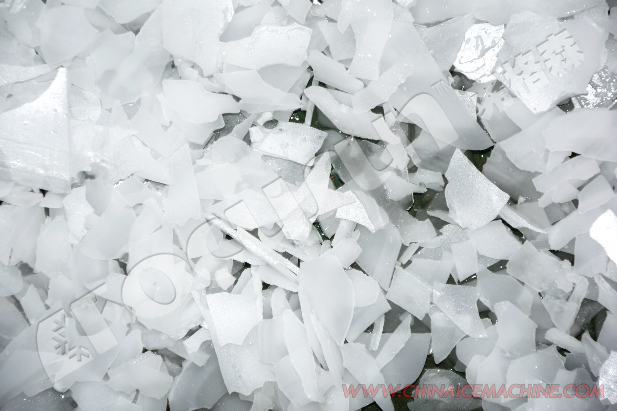 Upgrade Your Ice Production with 15T Focusun Flake Ice Machine and Bitzer Compressor