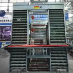 4m/Min Poultry Egg Collection System