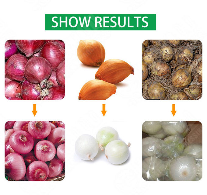 10S Small Onion Processing Equipment Red Onion Peeling Machine Green Onion Peeler