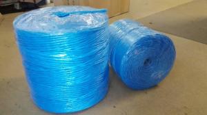China 3mm 4mm Farm Use Twisted Banana Twine Hay Baler Rope Blue PP Baler Twine wholesale