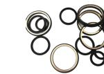 Packing SS Backside 1" 2" Y Type NBR Plug Valve Seals