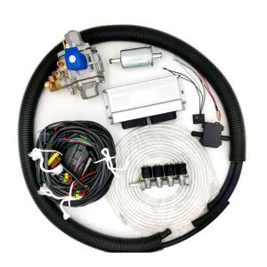 China Natural Gas CNG LPG Conversion Kits For EFI Petrol Cars Multipoint Fuel Injection wholesale