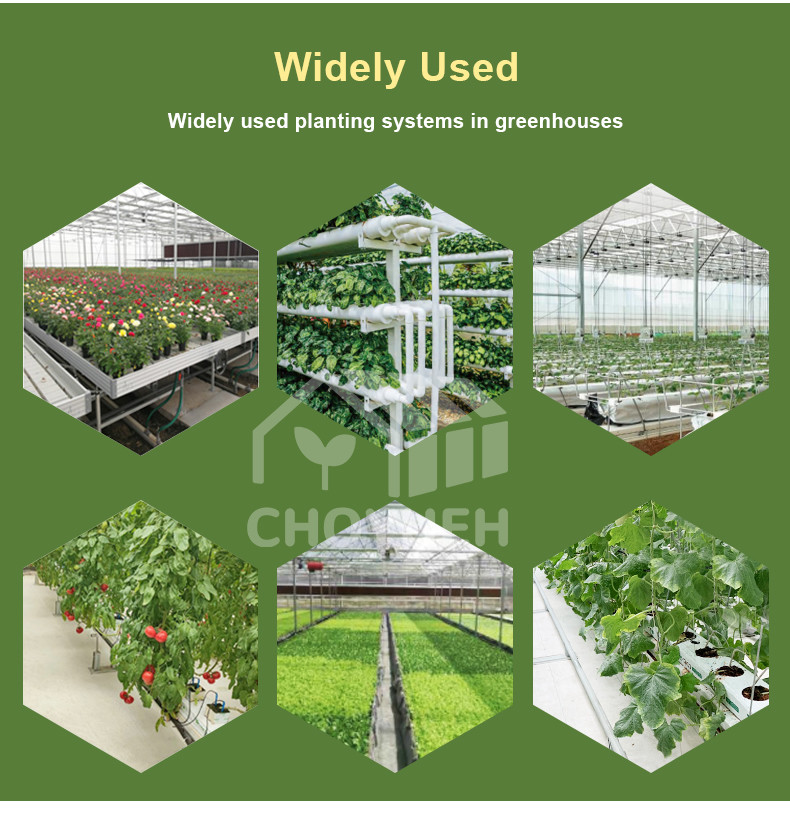 Double Layer PE Film Multi Span Film Greenhouse With Hydroponic System