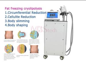 China 190mm 130mm Double Chin Cryo Cryolipolysis Slimming Machine wholesale