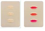 PMU Permanent Makeup Rubber 3D Lips Practice Skin Tattoo Mat To Practice Perfect