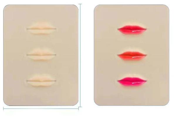PMU Permanent Makeup Rubber 3D Lips Practice Skin Tattoo Mat To Practice Perfect
