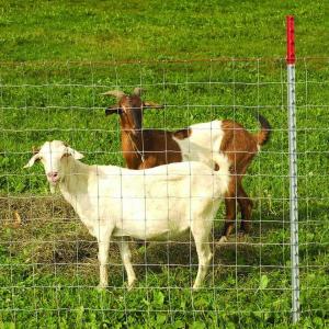 China 1.5mm Galvanized Wire Farm Fence Gate 4 Ft Livestock Gate wholesale