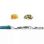 Fully Automatic Fruit And Vegetable Processing Machinery 300-1000kg/h