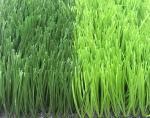 13000 Dtex 50mm Diamond Artificial Grass For Football Field