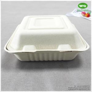 China 8x8 Inch Three Compartments Compostable Sugarcane Fiber Disposable Lunch Box-Disposable Food Packaging Manufacturer wholesale