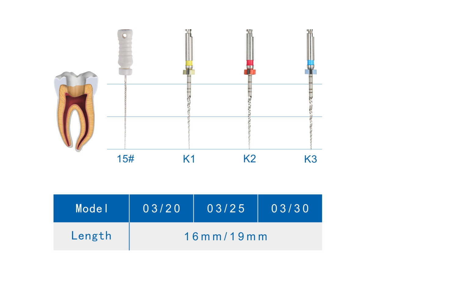 Endo 300rpm 19mm Heat Treated Niti Files For Root Canal Treatmant