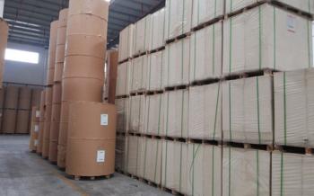 Wuhan Xinyongan Paper Plastic Co., Ltd.