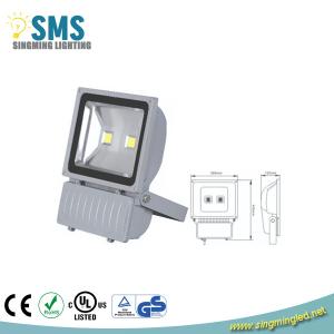 China IP65 80W led floodlight wholesale