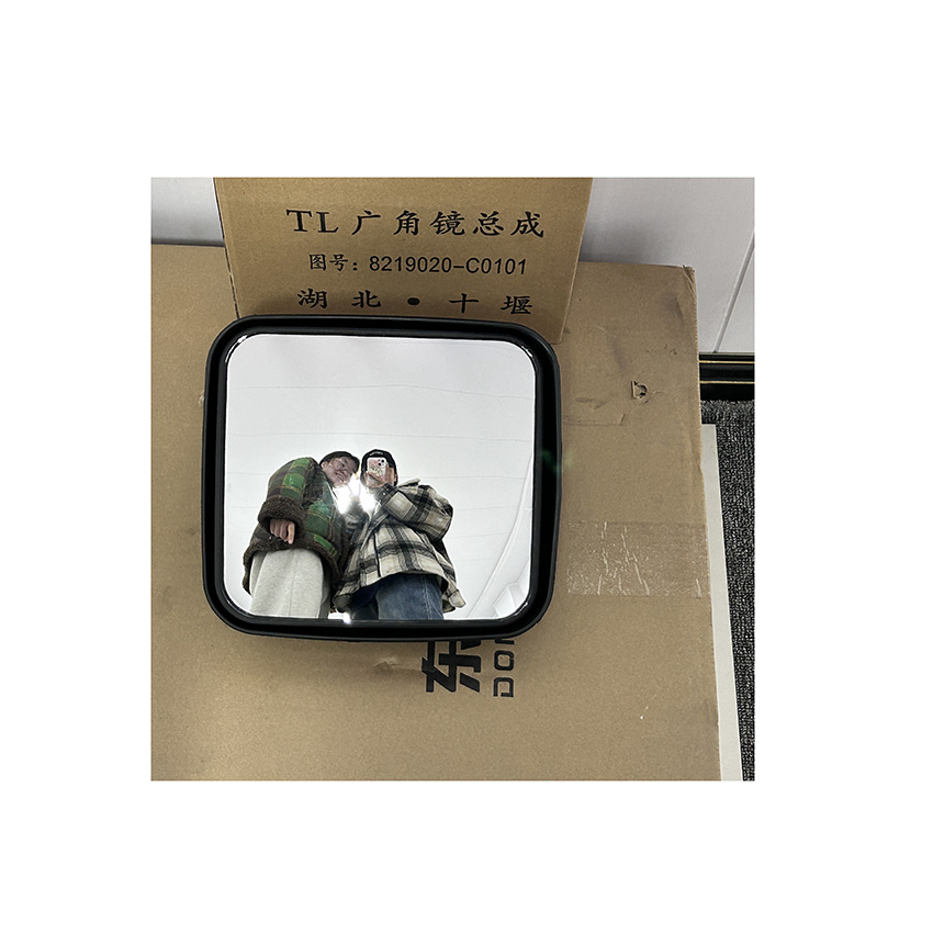 Directly Supply SINOTRUK Truck Wide Angle Mirror Assembly for Renault Volvo Trucks