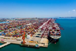 China International Door To Door FCL Sea Freight Carriers Ocean From Ningbo China To Australia Port wholesale