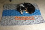 Knit Pet Sweater, Custom Knit Dog Sweater, hand knit dog sweaters, Dog Knitting