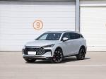 DM Champion Edition Electrico Adultos Adult Electric Cars Byd Tang Electric Car