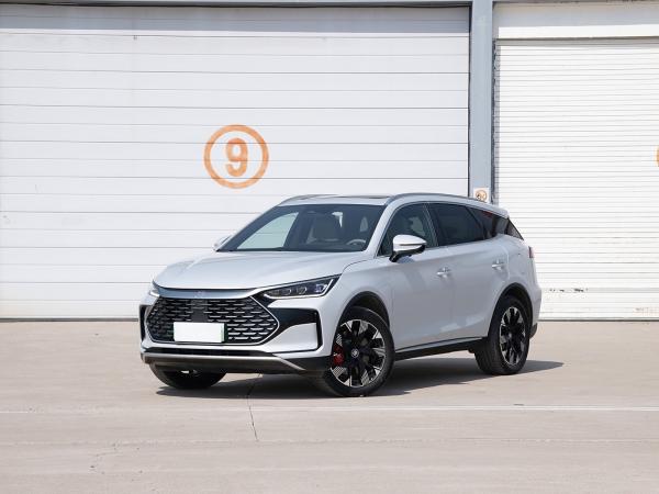 DM Champion Edition Electrico Adultos Adult Electric Cars Byd Tang Electric Car