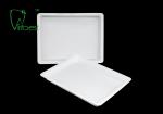 Small 19x14.8cm PP Plastic Dental Instrument Trays