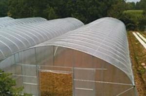 China Indoor Outdoor Greenhouse Tent Small / vegetable Grow Tent Easy Installed wholesale