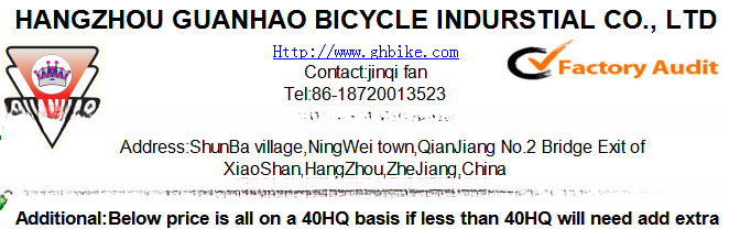20 Inch Foldable Bicycle Perfect for Beach Occasion NO Training Wheels Necessary
