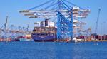 Competitive Ocean / Sea Freight to Canada From Shenzhen /Hongkong