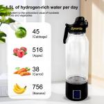 Best Portable 1L Sport Hydrogen Rich Alkaline Water Bottle Generator SPE PEM New