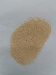 China Tanning Protease Powder Industrial Enzymes For Leather Hair Removal wholesale