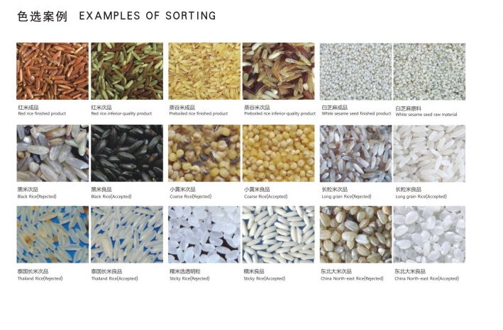 Efficient CCD Industrial Sorting Machine Easy Using Operative System Interface