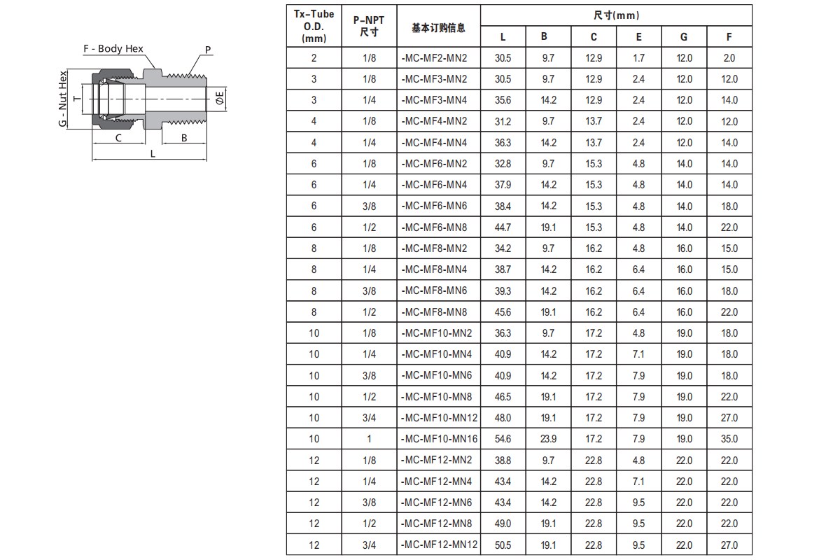 Excellent Durability Double Ferrule Compression Tube Fittings for Equal Pipe Lines Connect in 304/316 Stainless Steel