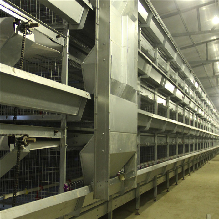 Battery Poultry Farming Equipment , Durable H Type 192 Baby Chicken Cage
