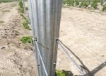Q235 Steel Wine Garden Orchard Trellis Systems Metal Plant Stakes For Outdoor