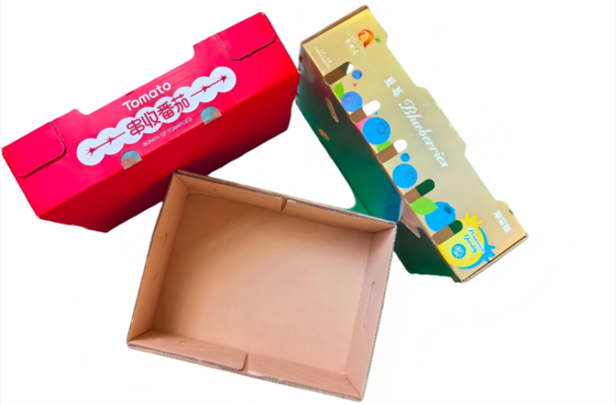 SR-1210X Automatic Paper Making machine