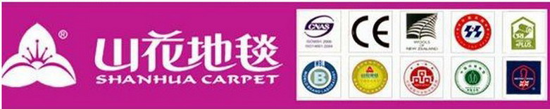 solution dye nylon ,high quality office carpet