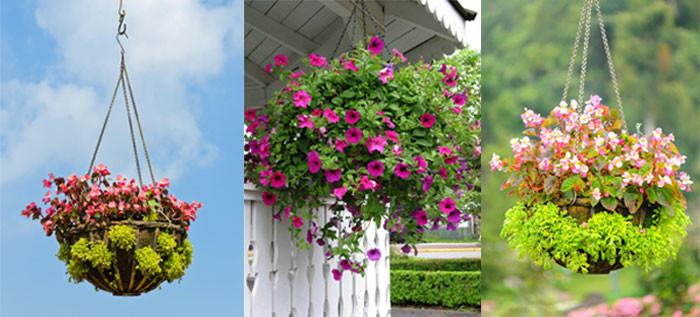 Portable Three Foot Steel Cable Suspension Hanging Kits For Flower Pot