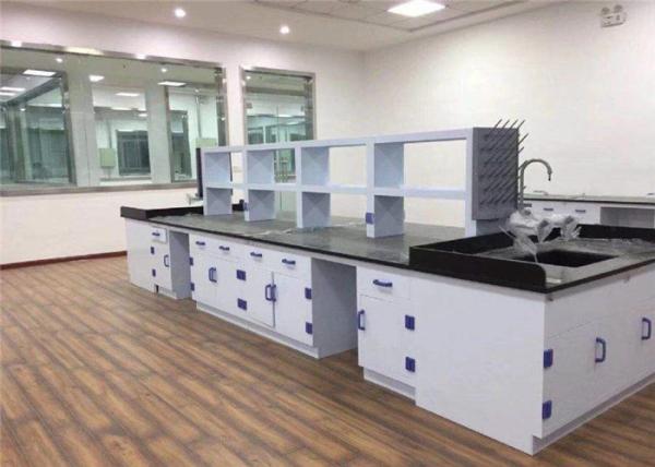 Wholesales Supply High School Lab Bench With PP Material For School Physical